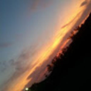 Meet your Posher, Collin